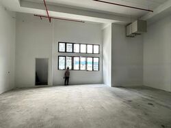 Ct Foodnex (D25), Factory #459016021